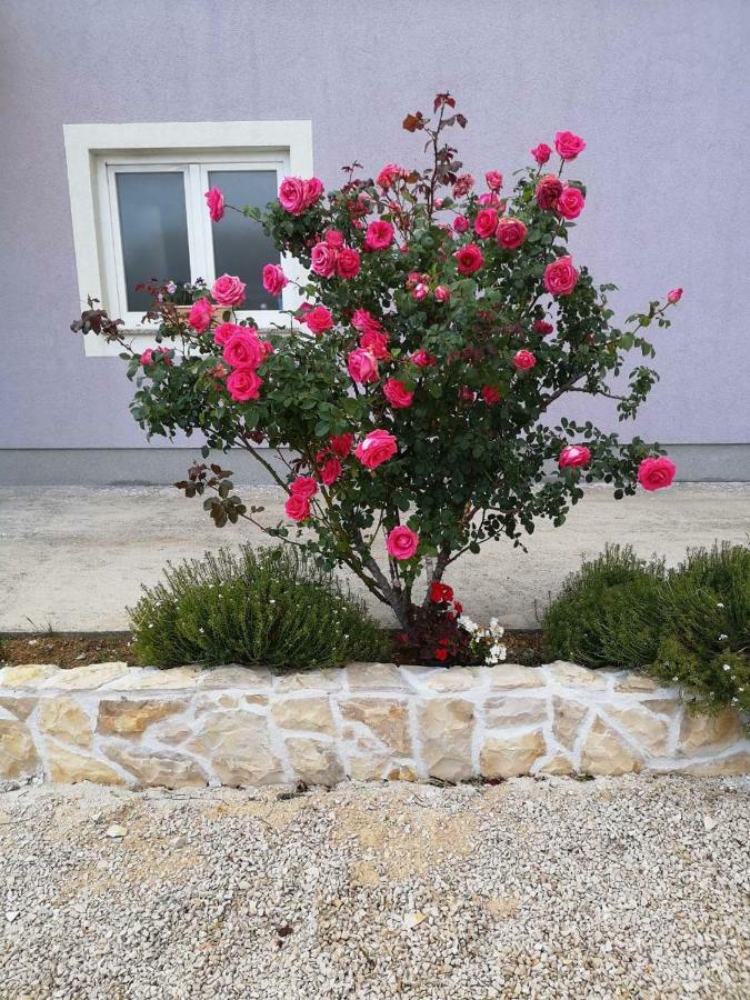 לוזובאק Home Lucic מראה חיצוני תמונה